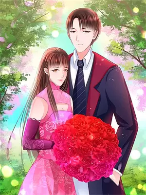 霸婿完整版